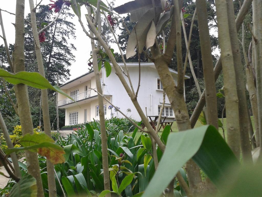 Park View Guest House Νουβάρα Ελίγια Εξωτερικό φωτογραφία